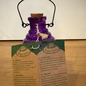 Glass Wasp Catcher-Purple-5.5"High - New